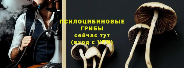 гашиш Горнозаводск