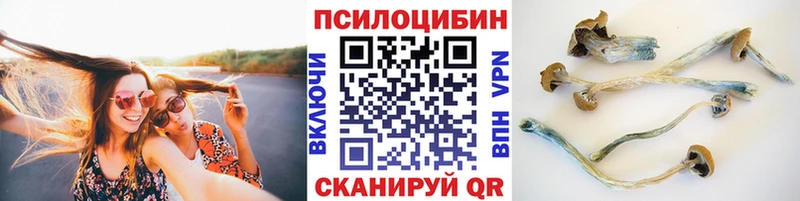 Псилоцибиновые грибы MAGIC MUSHROOMS  купить  цена  Дальнереченск 